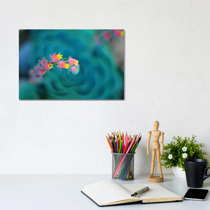 Rosularia by Lee Sie - Wrapped Canvas Print, 20.32 cm H x 30.48 cm W