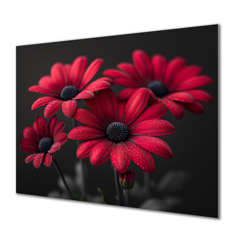 Monochromes rouges, romantiques, lueur romantique I - marguerites, impression d'art mural, Métal métal, H 16 po x l 32 po