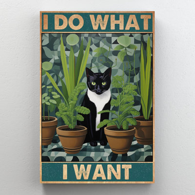 Chat tuxedo I Do What I Want