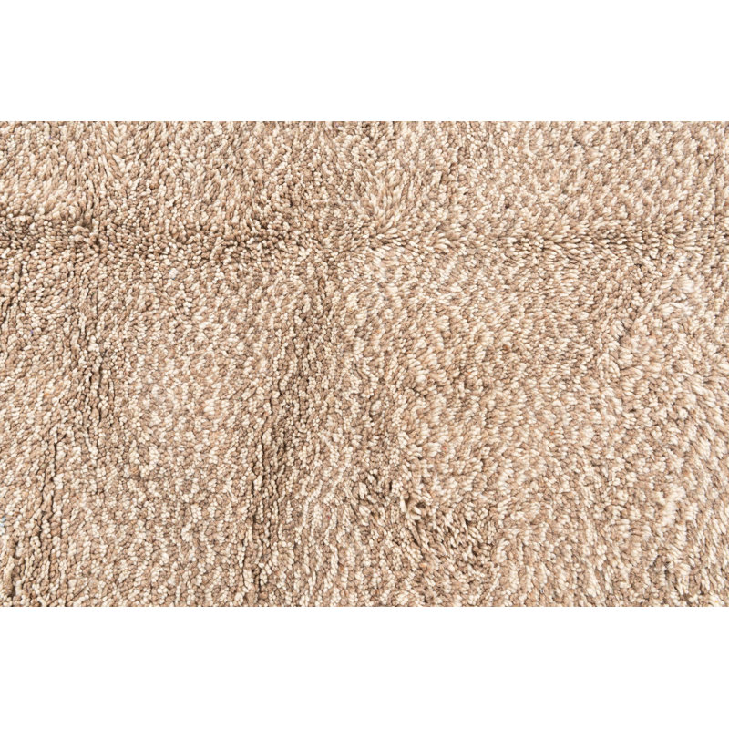 Aabha Light Brown Rug