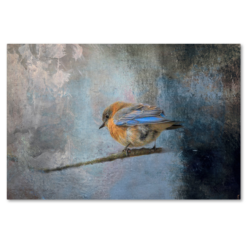 «Bluebird in Winter» par Vidur, impression sur toile tendue, H 22 po x l 32 po