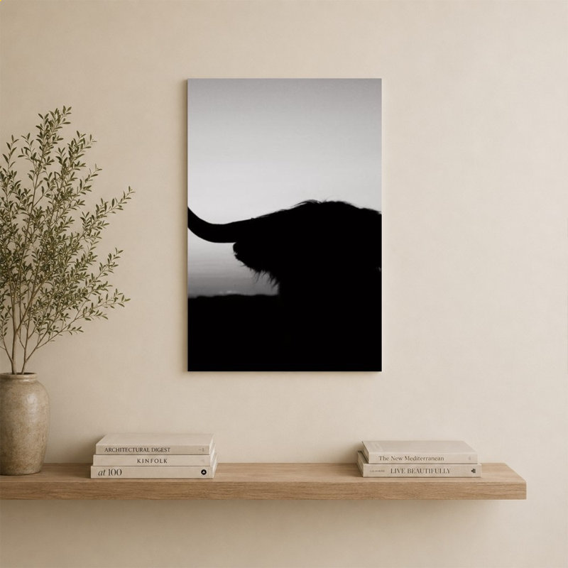 Bull Set BW, 36" H x 24" W, Does Not Apply