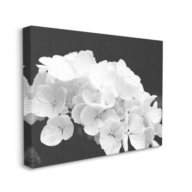Délicat hortensia blanc, estampe numérique par Lil 'Rue, H 36 po x l 48 po x P 1,5 po, Toile tendue