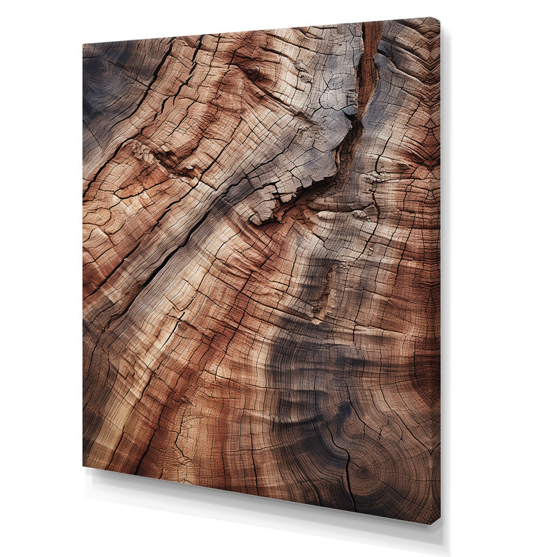 «Abstract Brown Graceful Woodland Bark», reproduction d'art murale abstraite, Toile tendue, H 40 po x l 30 po x P 1,5 po