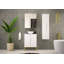Ailyne 61mm Bathroom Vanity with Basin-1388604731