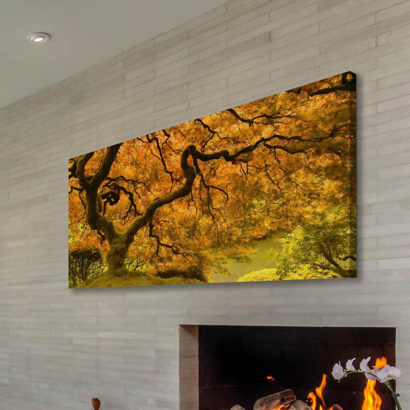 Golden Maple by Don Schwartz - Wrapped Canvas Print, 30 cm H x 61 cm W