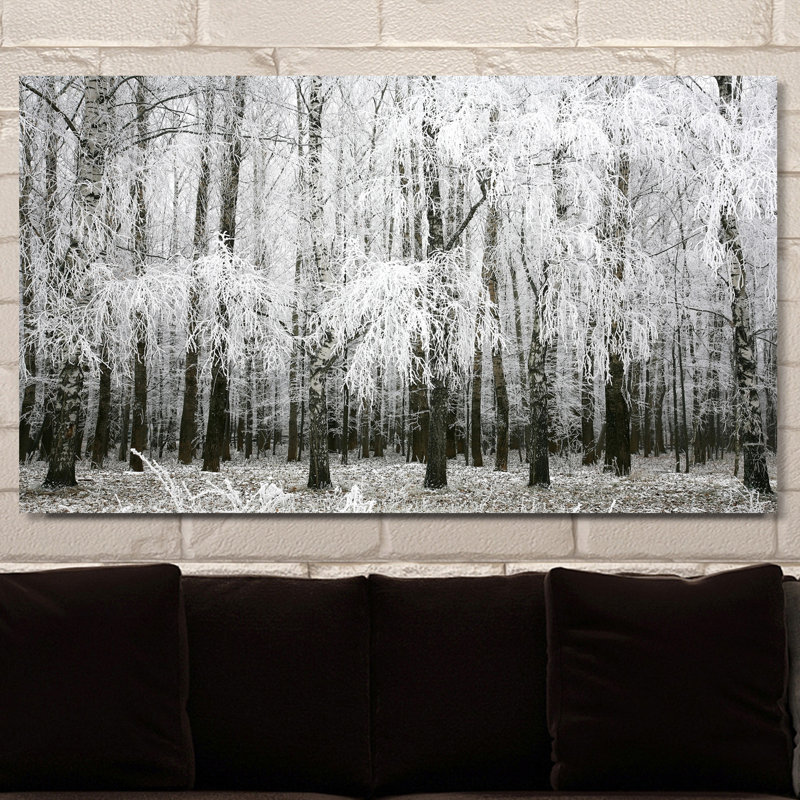 « birchinging environ iv », reproduction de photo sur toile tendue, H 28 po x l 48 po x P 1,5 po
