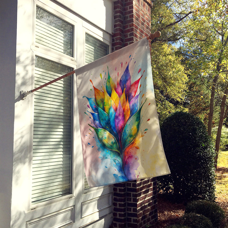 Drapeau de la maison de la fierté, Taille de la maison, Graines d'égalité