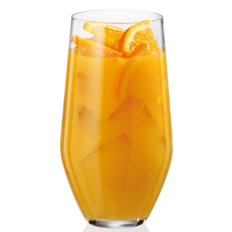 Desbois 13.5 oz. Highball Glass Set