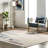 Dannie SpinClean Modern Geometric Machine Washable Area Rug-1336317901