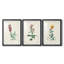 Traditional Botanical I - Impression personnalisée de qualité supérieure avec cadre mat - 3 pièces-1399434674
