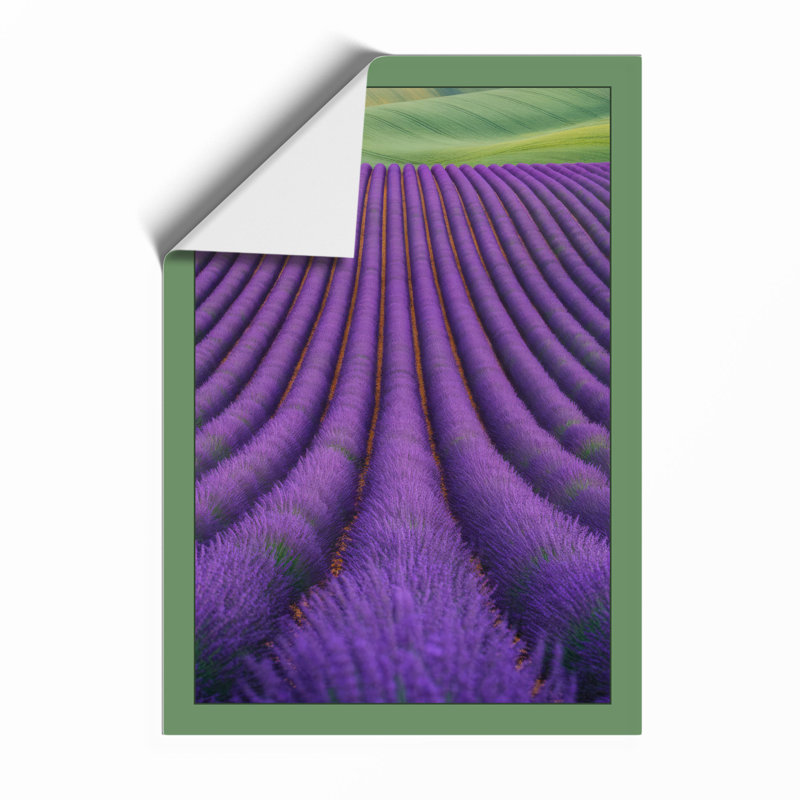 Lavender Fields at Peace Botanical - Framed Print, A2 - 59.4 x 42.0 cm, Unframed