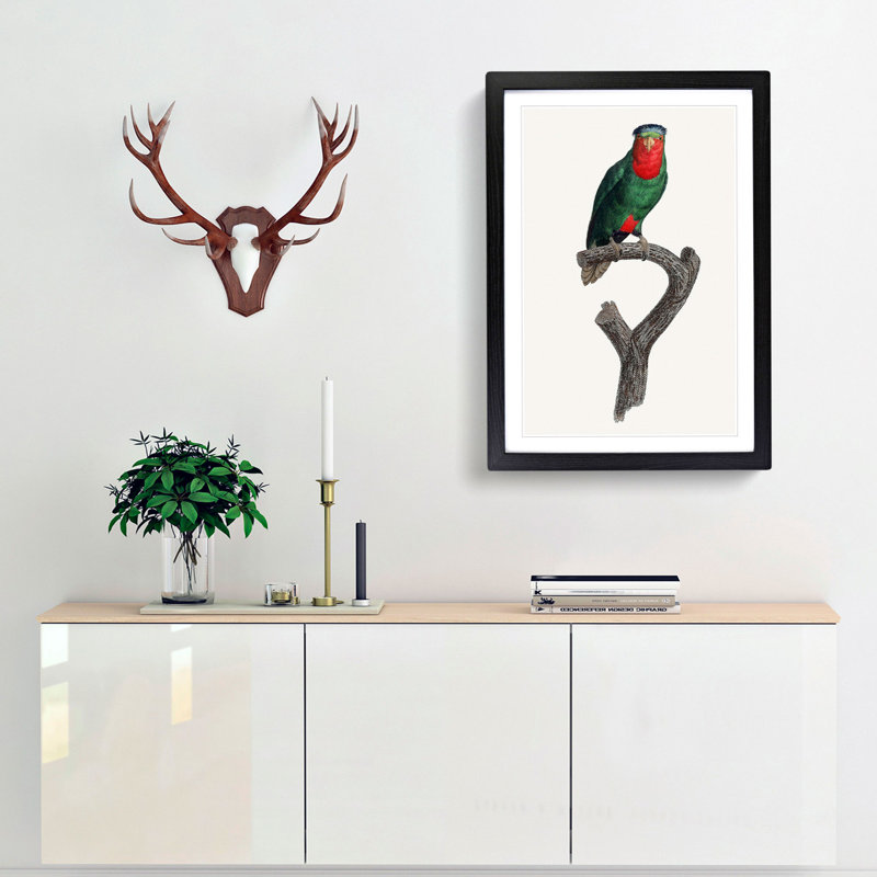 Blue Crowned Lorikeet by F. Levaillant - Picture Frame Graphic Art Print, 36cm H x 27cm W x 2cm D, Black Framed