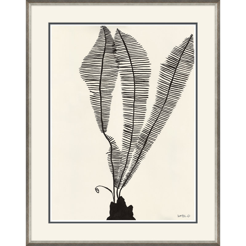«Scissor Fern» par Susan Hable - Peinture encadrée sur papier
