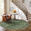 Tapis vert lavable pour salon-129943716-129943720
