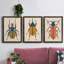 Beetle Bug I - ensemble de 3 peintures sur toile encadrées-1777886051-1777886048