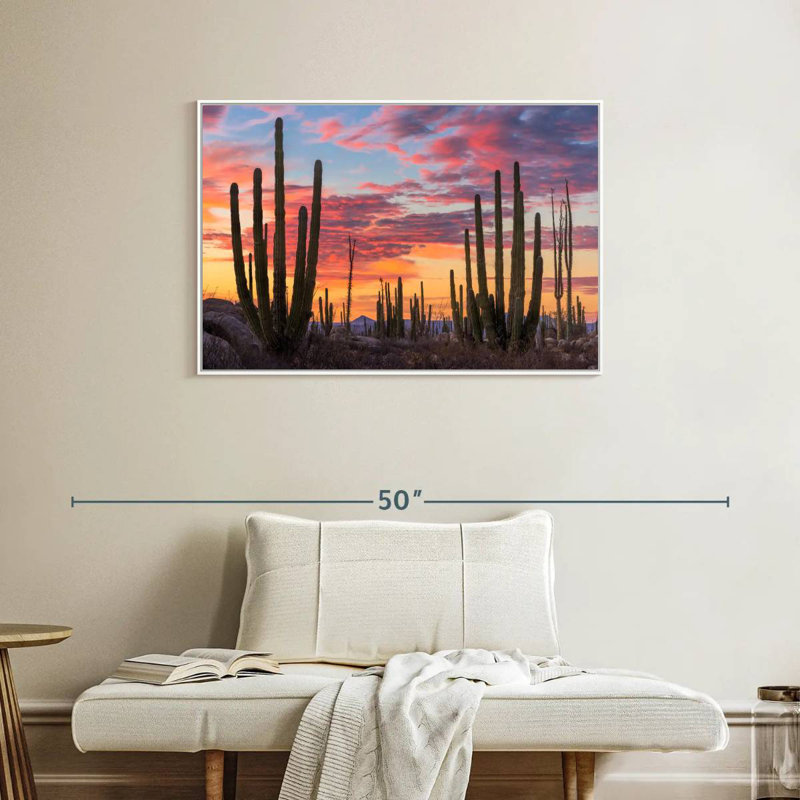 Lever de soleil de Baja California, Cadre flottant blanc, 37 po x 25 po