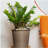 13 in.Gray Wicker Self-watering Planter-1283686969-1283686971