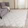 Natosha Shag Performance Geometric Rug