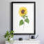 Tournesol II - imprimé-440758251-440758244