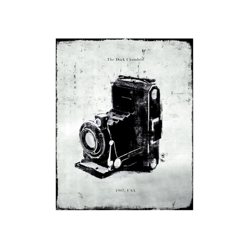 Caméra terrestre - impression, H 40 po x l 30 po x 1,5 po, Extérieur