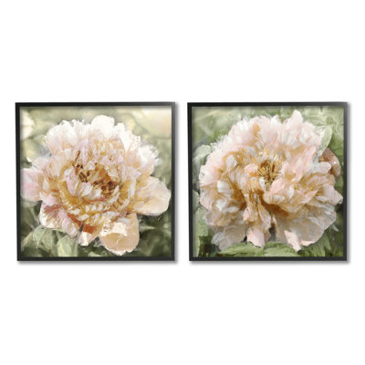" Carnation Plant Blooming Garden " by Shawna Sullivan 2 - Pieces