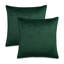 Gemma Velvet Square Pillow Cover & Insert-1449185796