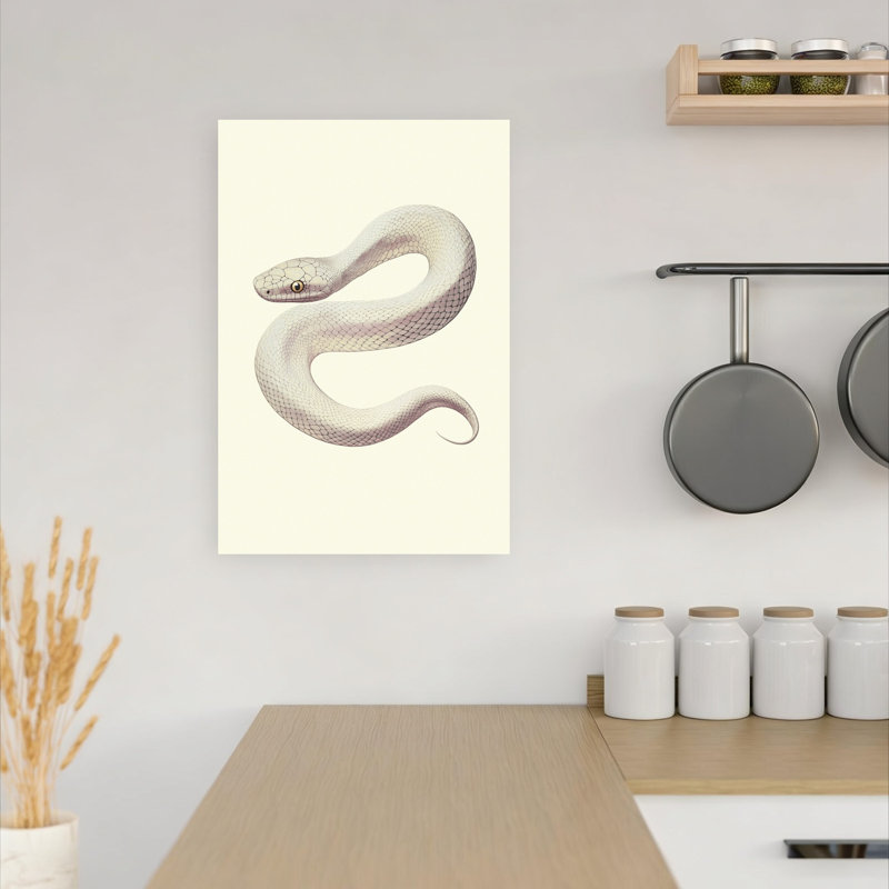 Elegant White Serpent Elegant Mystical Contemporary Snake Nature Wildlife Wall Art Print 1 Piece Wrapped Canvas Wall Art
