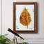 Autumn Leaf Study III, toile encadrée de qualité supérieure - prête à être accrochée-1302404959