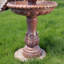 Fontaine Dunleavy
