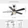 Ehrin 51.96'' Ceiling Fan with LED Lights