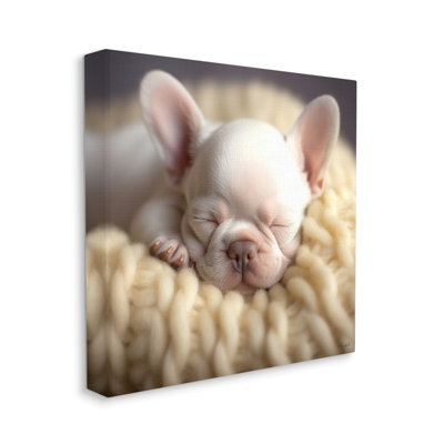 " Tiny Puppy Sleeping " by Roozbeh