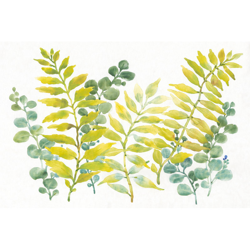 Mixed Greenery II by Tim OToole - Wrapped Canvas Painting, 61cm H x 91cm W