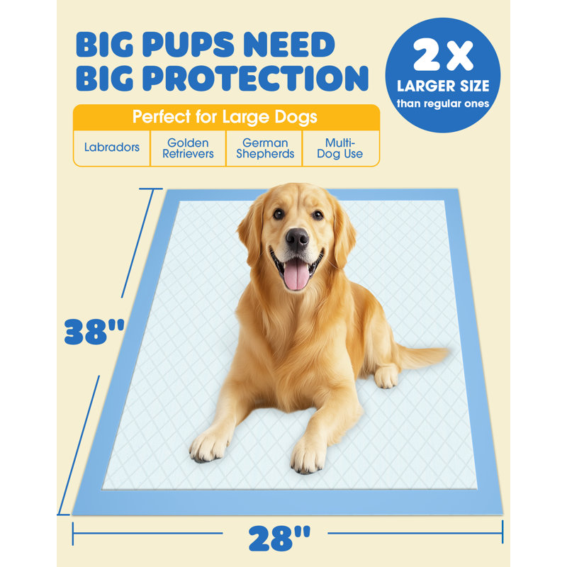 XX Grands coussins pour chiots pour chiens 38 po x 28 po à séchage rapide et imperméable à 75 couches, Bleu