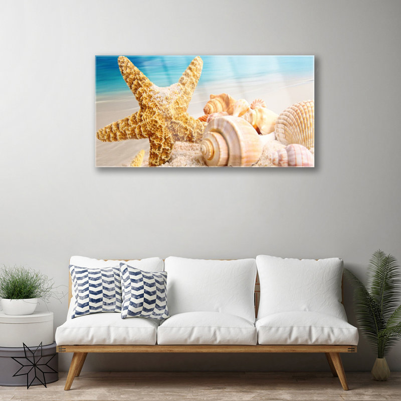 Starfish Shells - Unframed Photograph on Glass