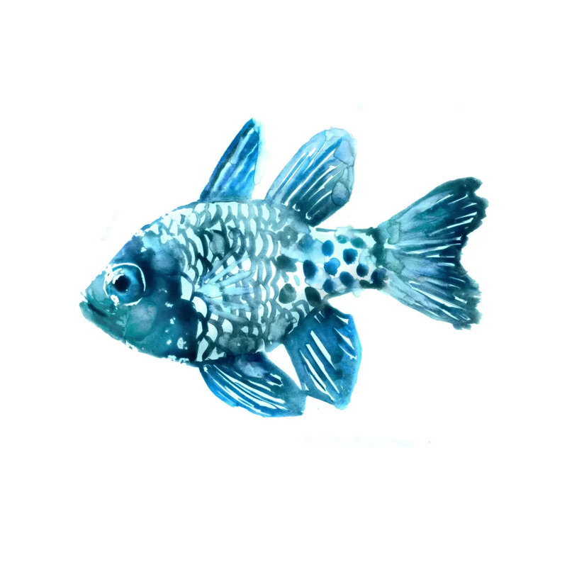 Fish II by Edward Selkirk - Wrapped Canvas Painting, 30.48 cm H x 30.48 cm W