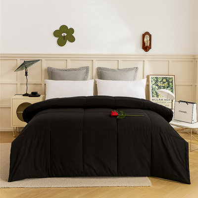 Édredon luxueux noir toutes saisons - mélange de coton, insert de courtepointe pour hôtel léger, ultra doux, surpiqué, lavable à la machine avec pattes d'angle