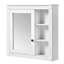 Armoire murale polyvalente pour salle de bain avec miroir et rangement, idéale pour toute pièce de la maison
