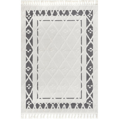 Geometric Transitional Tasseled Area Rug