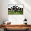 Vaches Holstein-712627471-712627470