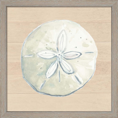 " Sand Dollar " by Patricia Pinto