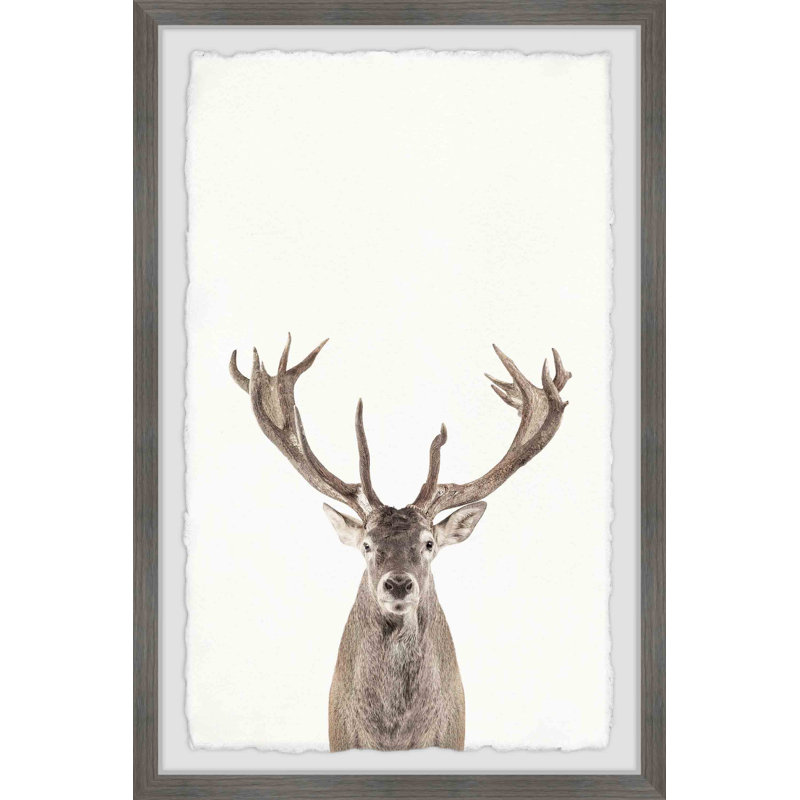 Marmont Hill - Single Picture Frame Print, 61cm H x 41cm W x 3.81cm D