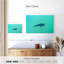 Crowle, requin baleine La Paz