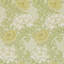 Chrysanthemum Wallpaper-50889525