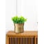Pot de fleurs en laiton Hatchett-2082601496
