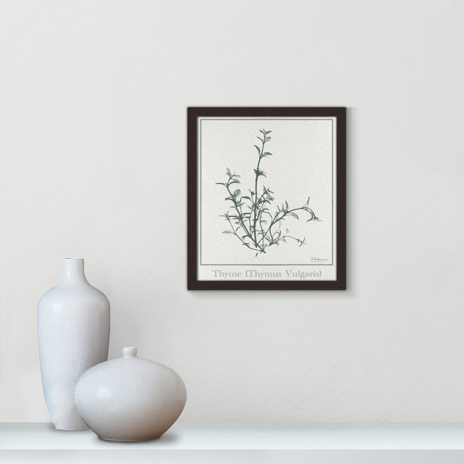 Jeanette "Thymus Vulgaris" Print, 15" H x 13" W x 1.25" D, Open Grain Walnut Framed Paper
