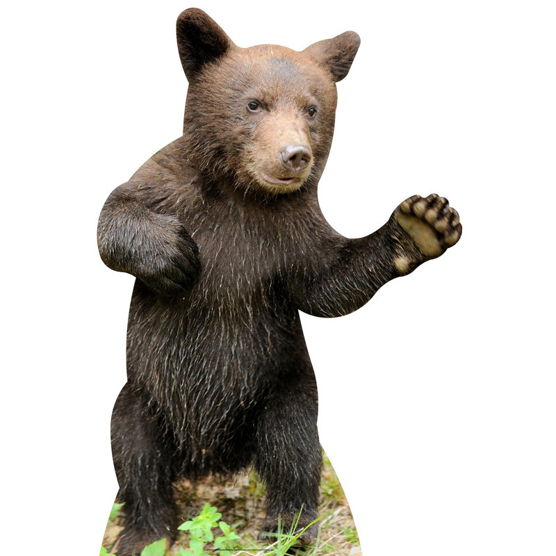 Bear Cub Cardboard Standup