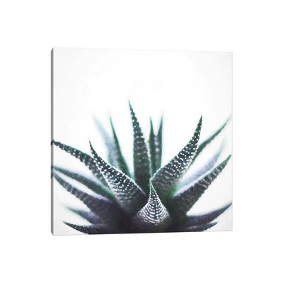 Green Topaz Plant by 83 Oranges - Gallery-Wrapped Canvas Giclée on Canvas