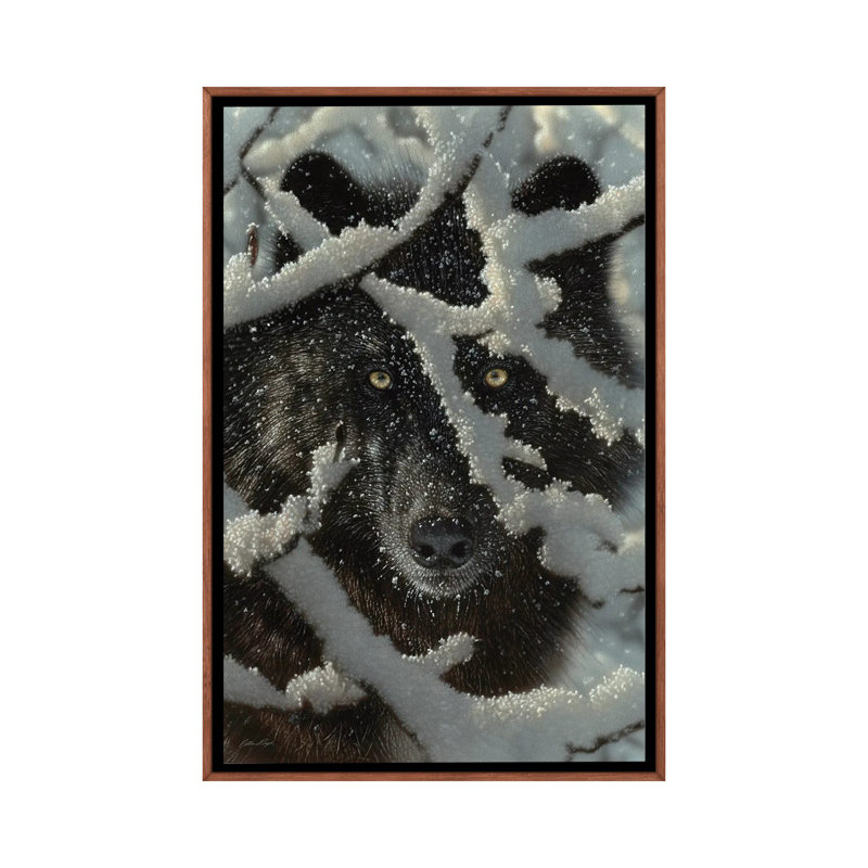 Winter's Black Wolf by Collin Bogle - Print on Canvas, 152.5 cm H x 101.5 cm W, Brown Framed