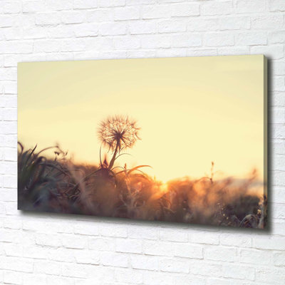 Dandelion - Wrapped Canvas Print